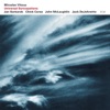 Miroslav Vitous - Bamboo Forest