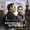 Person of Interest artwork