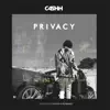 Privacy - Single album lyrics, reviews, download