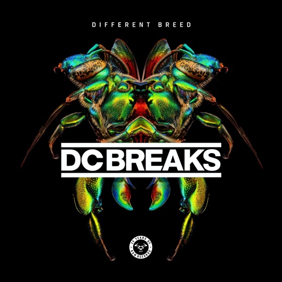 Cover artwork for Remember
