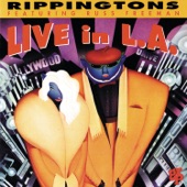 The Rippingtons - Tourist In Paradise