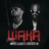 Waka (feat. Rick Ross) - Single album lyrics, reviews, download
