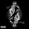 Skull Island (feat. Gorilla J & Shawn Kongg) - Antonio the Great lyrics