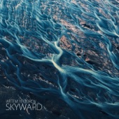 Skyward artwork