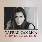 Ölüm Kalım Meselesi (Akustik) artwork