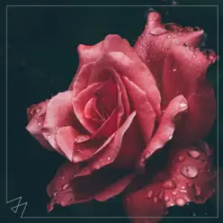 Too Good at Goodbyes - Single - Madilyn Bailey Too Good at Goodbyes - Single - Madilyn Bailey