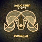 Aries artwork