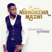 Ndinonzwa Mazwi artwork