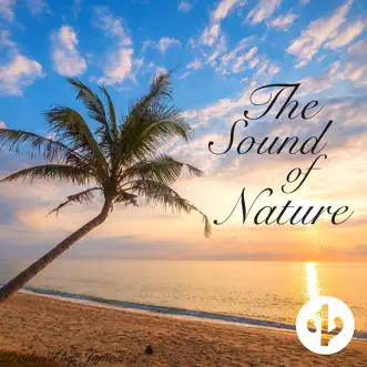 The Sound of Nature - EP by Jamez album reviews, ratings, credits