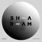 Amnesi (Sharam 2020 Edit) - Sharam lyrics