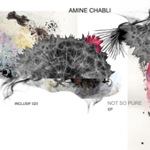 Not So Pure - Amine Chabli