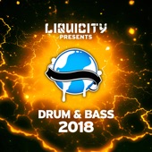Liquicity Drum & Bass 2018 artwork