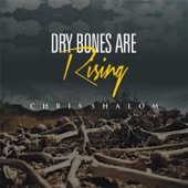 Dry Bones Are Rising artwork