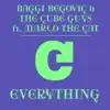 Stream & download Everything (feat. Marlo the Cat) [The Cube Guys Mix] - Single