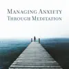 Managing Anxiety Through Meditation - Positive Visualization, Harmony for Body & Mind, Stress Relief, Breathe Healing Energy album lyrics, reviews, download