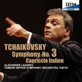 Symphony No. 3 in D Major, Op. 29 ''Polish'': 3. Andante elegiaco artwork
