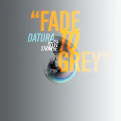 Fade to Grey (Raf Marchesini Radio Edit) - Single [feat. Steve Strange] - Single - Datura