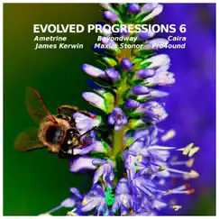 Evolved Progressions 6 by Ametrine, Beyondway & Caira album reviews, ratings, credits