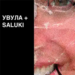 With U (feat. SALUKI) - Single by Увула album reviews, ratings, credits