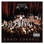 Chris Cornell - Black Hole Sun