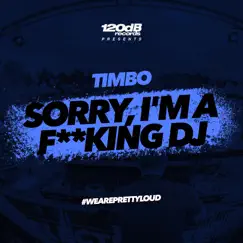 Sorry, I'm a F**king DJ Song Lyrics