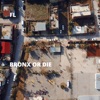 Bronx or Die