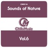Sounds of Nature Vol.6