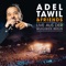 Ist da jemand (Live aus der Wuhlheide Berlin) - Adel Tawil lyrics