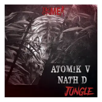 Jungle - Single by Atomik V & Nath D album reviews, ratings, credits