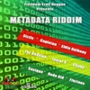 Metadata Riddim