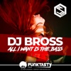 All I Want Is the Bass - Single