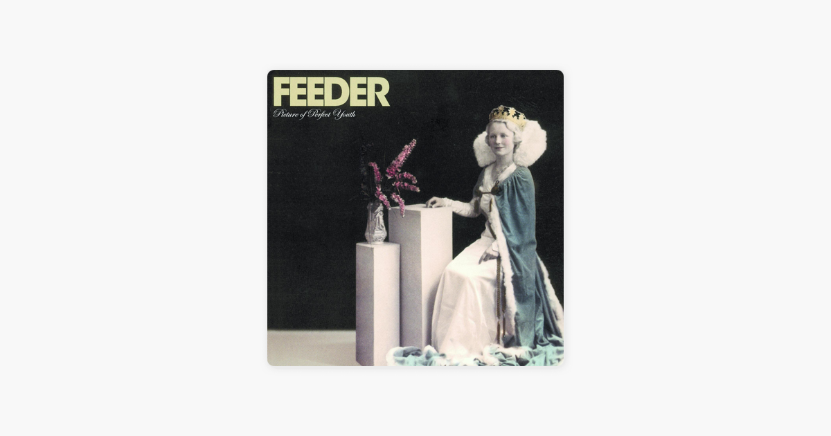 Apple Music 上feeder的专辑 Picture Of Perfect Youth