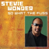 Stevie Wonder - So What The Fuss