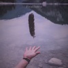 Feathers - Single