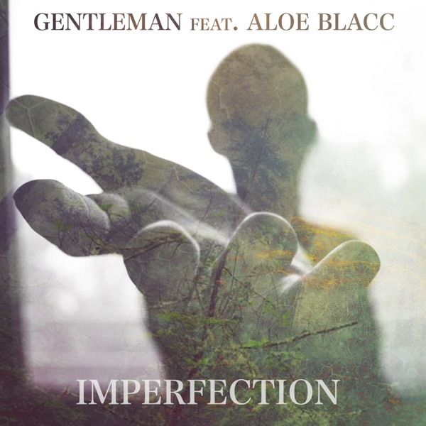 Imperfection (feat. Aloe Blacc) - Single - Gentleman
