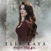 Deliye Dön Gel - Single