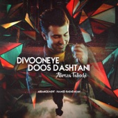 Divooneye Doos Dashtani artwork