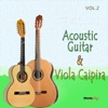 Acoustic Guitar & Viola, Vol. 2