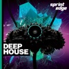 Spre05 Deep House 2016 artwork