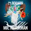 Stream & download Mr. Neverman - Single