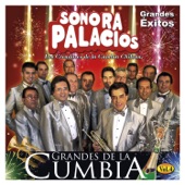 Grandes de la Cumbia (Vol. 4) artwork