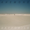 Daffodils - Single