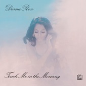 Touch Me In the Morning artwork