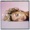 Let You Love Me