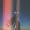 I Am Loving You - Single album lyrics, reviews, download