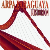 Arpa Paraguaya artwork