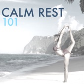 Calm Rest 101 - Energy Healing Songs for Emotional Stability, Tranquility & Total Relax artwork