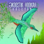 Ekoostik Hookah - Ambrosia