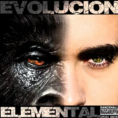 Evolución - Elemental Raggamuffin