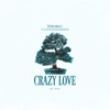 Crazy Love by Future Animals iTunes Track 1